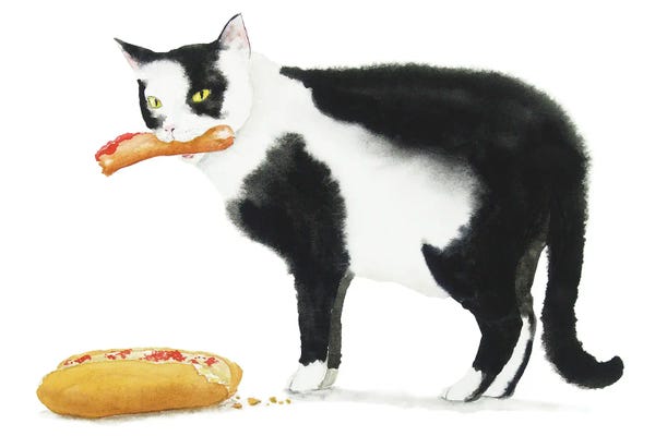 Tuxedo Cats: Black Cat And Hot Dog by Alexey Dmitrievich Shmyrov