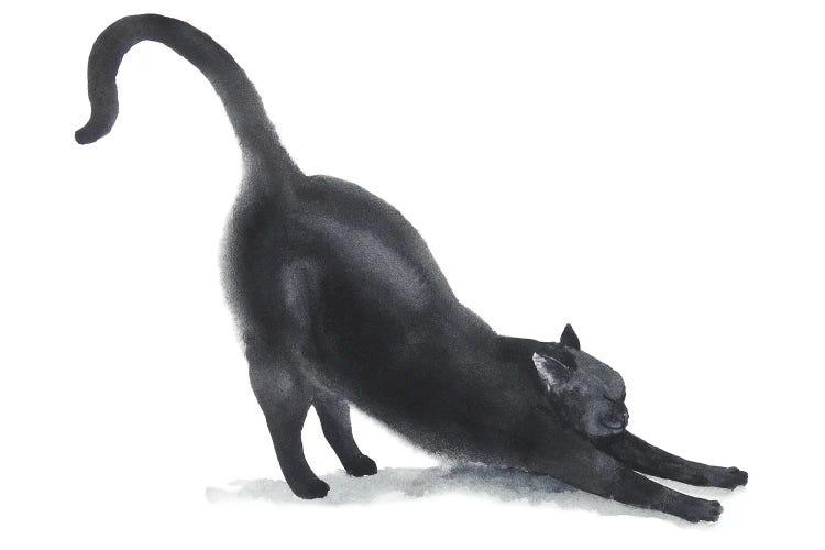 Yoga Black Cat II