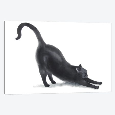Yoga Black Cat II Canvas Print #AXS90} by Alexey Dmitrievich Shmyrov Canvas Print