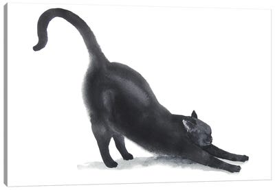Yoga Black Cat II Canvas Art Print - Alexey Dmitrievich Shmyrov