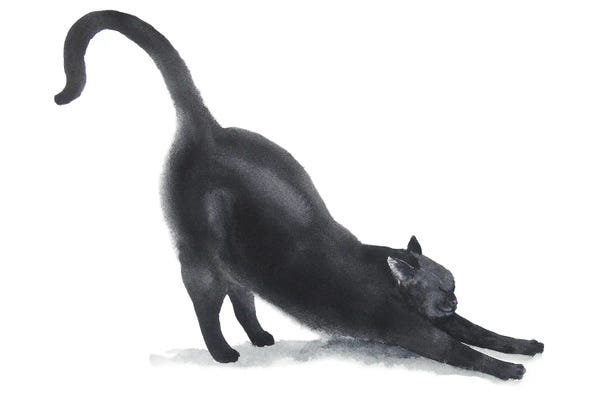 Yoga: Yoga Black Cat II by Alexey Dmitrievich Shmyrov