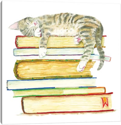 Sleeping Tabby Kitten Canvas Art Print - Book Art