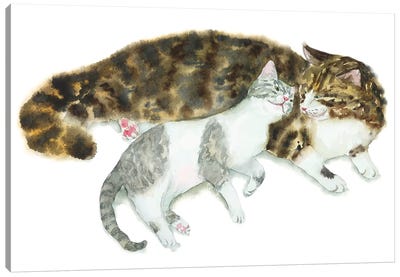 Cat Couple II Canvas Art Print - Alexey Dmitrievich Shmyrov