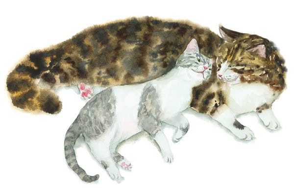 Cat Couple II