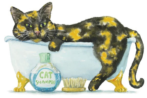 Tortoiseshell Cat In The tTub