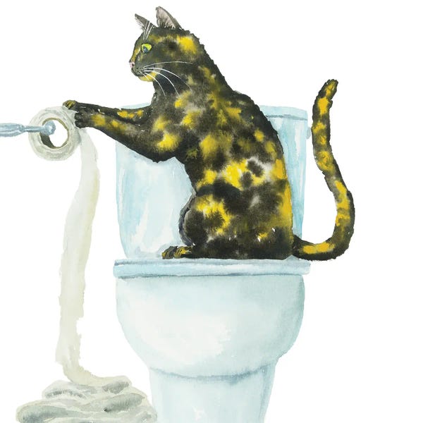 Tortoiseshell And Toilet Paper