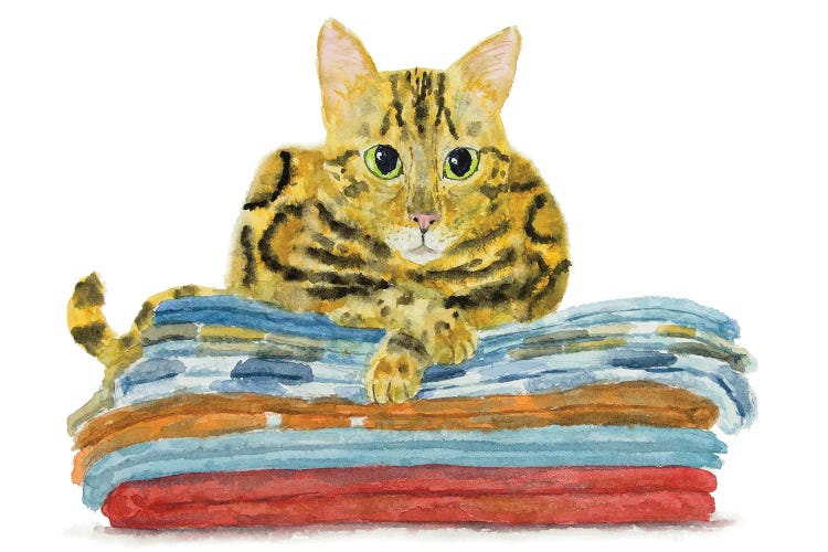 Bengal Cat On Towels