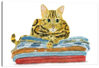 Bengal Cat On Towels Canvas Art Print