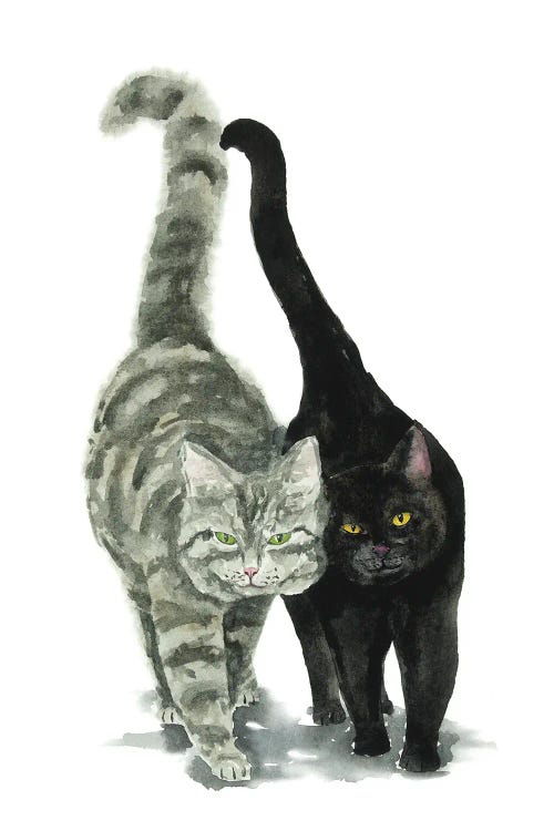 Black Cat And Tabby Cat