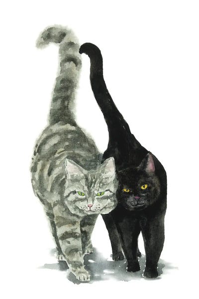 Tabbies: Black Cat And Tabby Cat by Alexey Dmitrievich Shmyrov