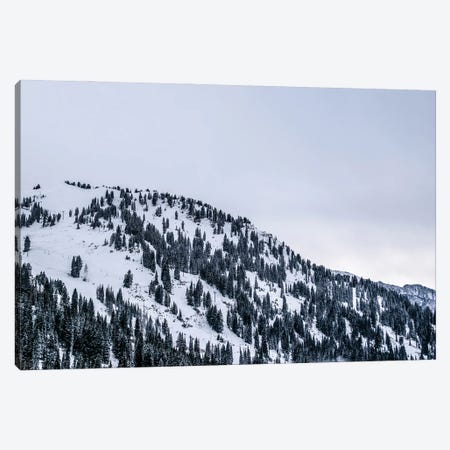 Monochrome Winter Canvas Print #AXT108} by Alex Tonetti Canvas Art