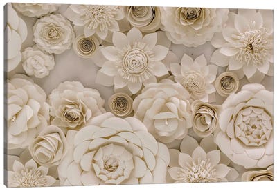 Paper Bouquet Canvas Art Print - Alex Tonetti