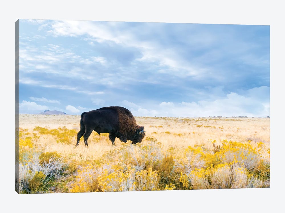 The Great American Bison by Alex Tonetti 1-piece Canvas Art