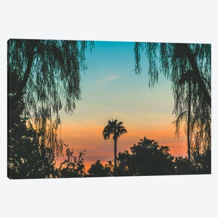 Tropical State Of Mind Canvas Print #AXT174} by Alex Tonetti Canvas Artwork