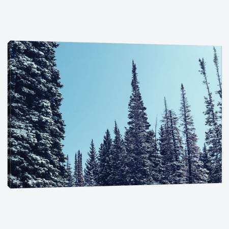 Within The Forest Canvas Print #AXT195} by Alex Tonetti Canvas Art