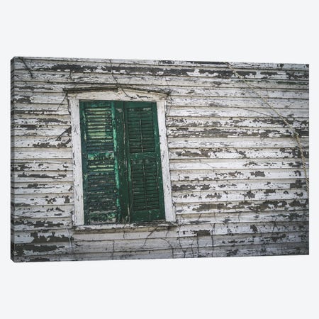 Crooked With Age Canvas Print #AXT245} by Alex Tonetti Canvas Wall Art