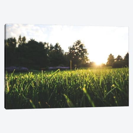 Sunset Over The Blades Canvas Print #AXT356} by Alex Tonetti Canvas Wall Art