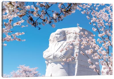 Dr. King In The Spring Canvas Art Print - Martin Luther King Jr.