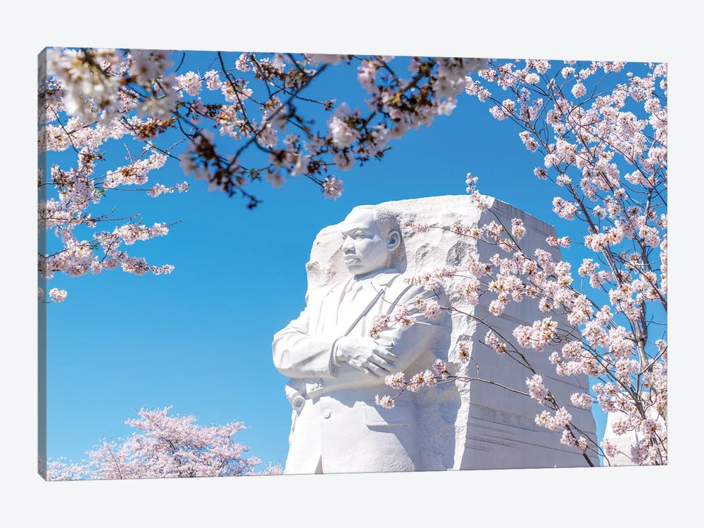 Dr. King In The Spring by Alex Tonetti 1-piece Art Print