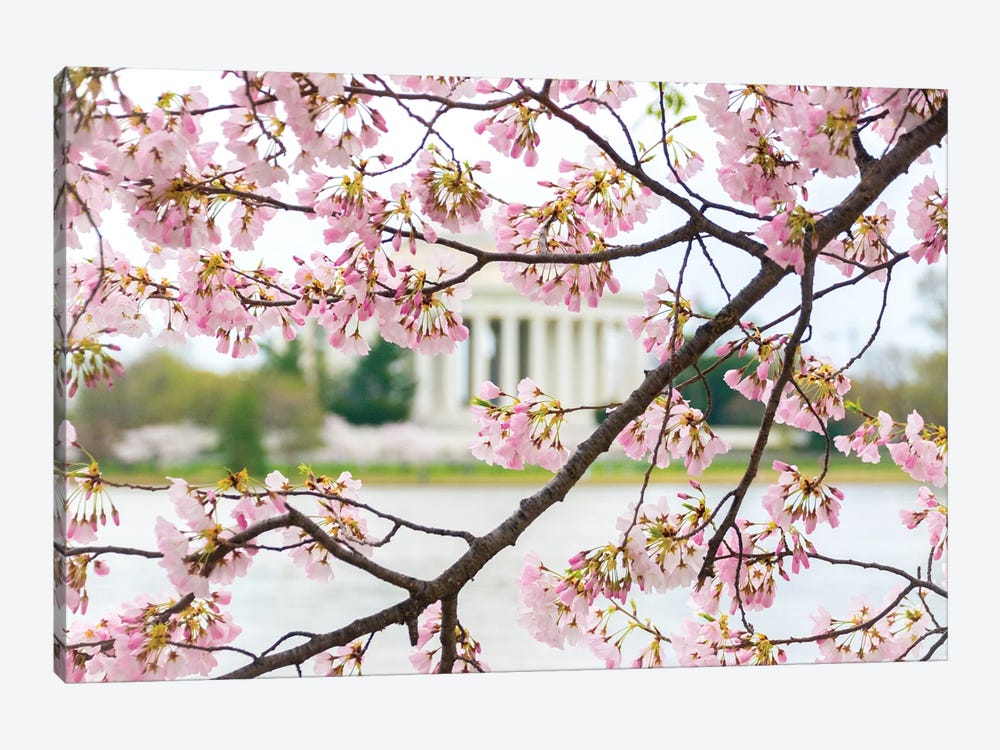 Jefferson Through The Blossoms by Alex Tonetti 1-piece Canvas Wall Art