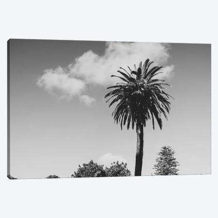 Keep Palm, And Carry On Canvas Print #AXT92} by Alex Tonetti Canvas Wall Art