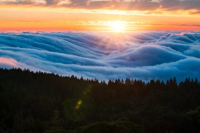 Wavy Gravy - California Fog Wave by Alexander Sloutsky canvas print