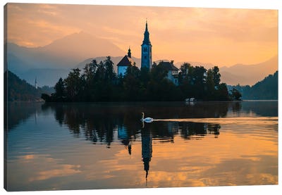 Swan's Graceful Glide At Lake Bled Canvas Art Print - Alexander Sloutsky