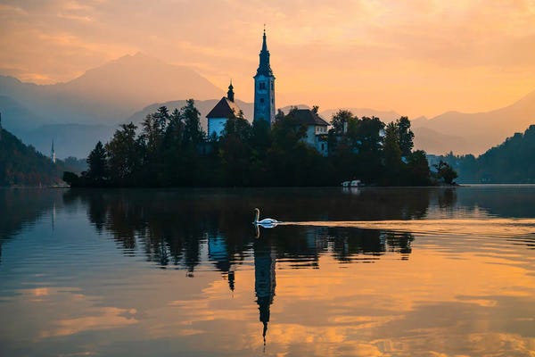 Lake Sunrises & Sunsets: Swan's Graceful Glide At Lake Bled by Alexander Sloutsky
