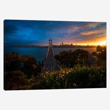 San Francisco In Full Bloom Canvas Print #AXU25} by Alexander Sloutsky Canvas Print