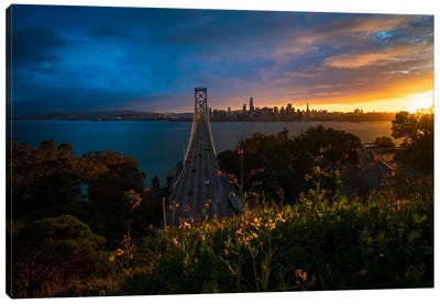 San Francisco In Full Bloom Canvas Art Print - City Sunrise & Sunset Art