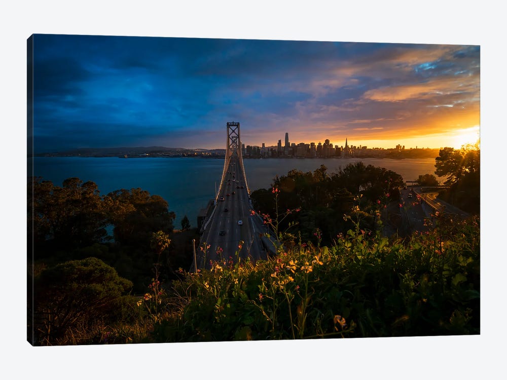 San Francisco In Full Bloom by Alexander Sloutsky 1-piece Canvas Print