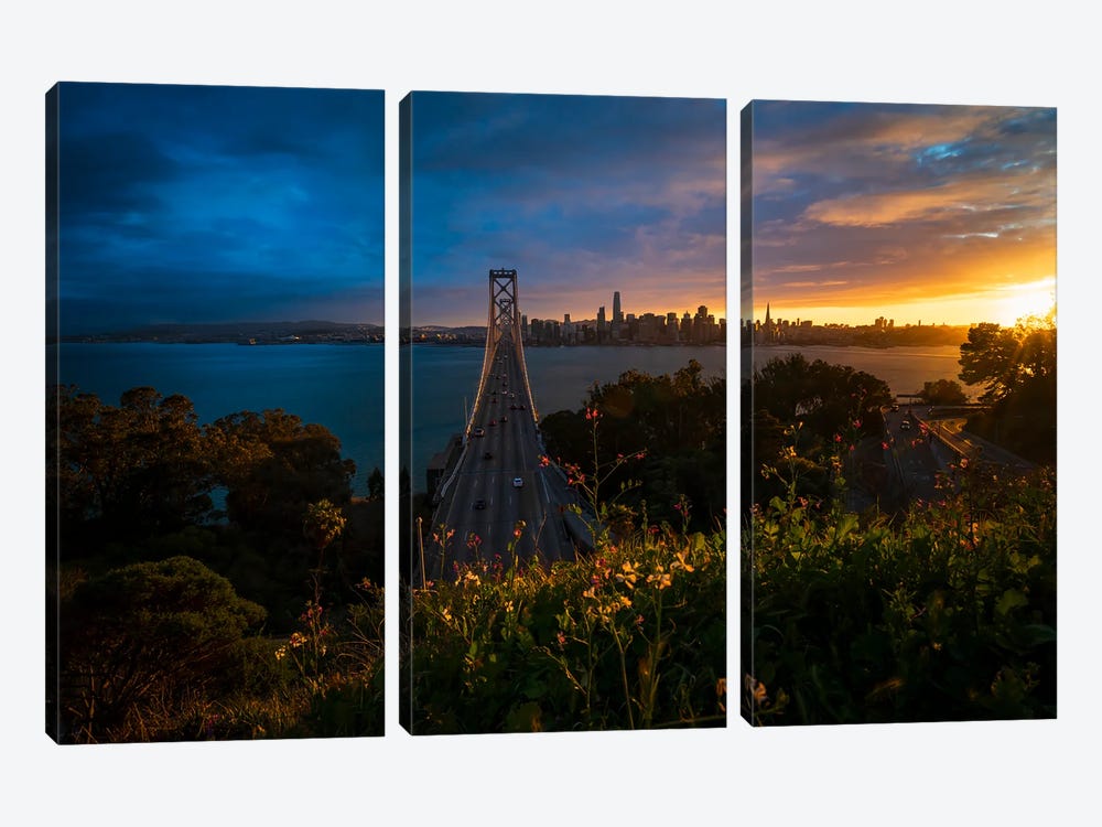 San Francisco In Full Bloom by Alexander Sloutsky 3-piece Canvas Art Print