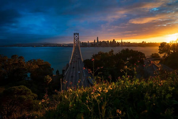 Alexander Sloutsky: San Francisco In Full Bloom by Alexander Sloutsky