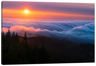Razzle Dazzle - Sunset Majesty At Mount Tamalpais Canvas Art Print - Mist & Fog Art