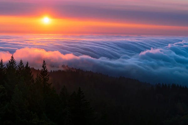 Mist & Fog: Razzle Dazzle - Sunset Majesty At Mount Tamalpais by Alexander Sloutsky