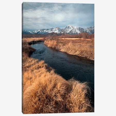 Owens River With Eastern Sierra Mountains Backdrop Canvas Print #AXU29} by Alexander Sloutsky Canvas Wall Art