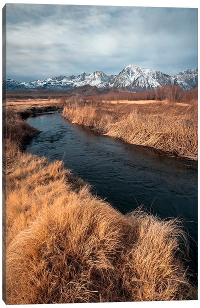 Owens River With Eastern Sierra Mountains Backdrop Canvas Art Print - Alexander Sloutsky