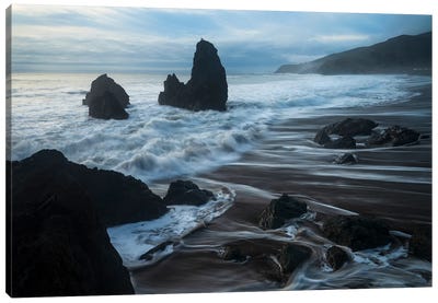 Rodeo Beach Pinnacles On A Stormy Day Canvas Art Print - Alexander Sloutsky