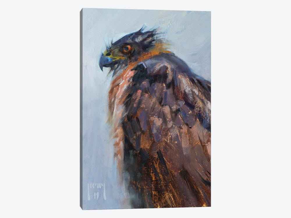 Cooper's Hawk Waiting Out The Storm by Alex Kelly 1-piece Canvas Wall Art