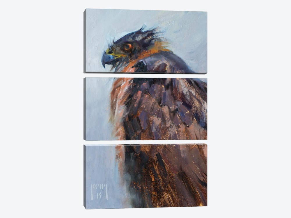 Cooper's Hawk Waiting Out The Storm by Alex Kelly 3-piece Canvas Artwork
