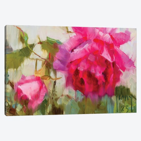 Deep Pink Canvas Print #AXY27} by Alex Kelly Canvas Print
