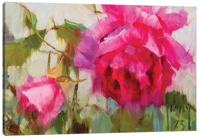 Deep Pink Canvas Art Print - Alex Kelly