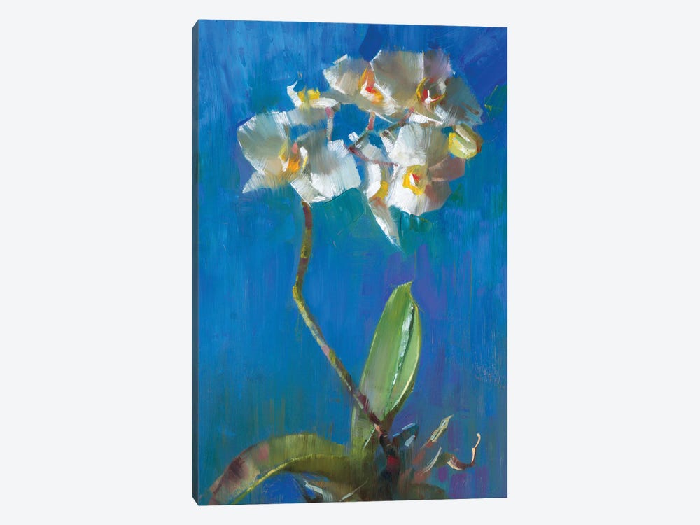 Orchid In Deep Blue by Alex Kelly 1-piece Canvas Artwork