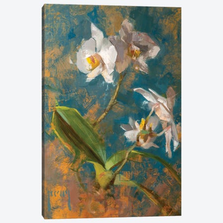Orchid Canvas Print #AXY43} by Alex Kelly Canvas Art