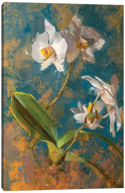 Orchid Canvas Art Print - Alex Kelly