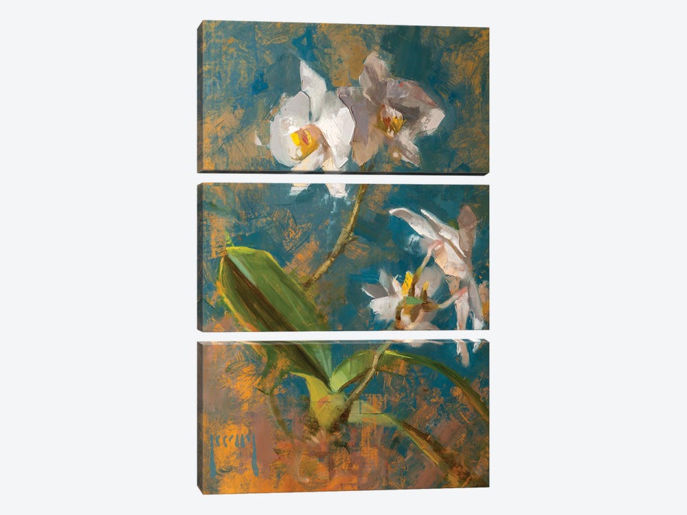 Orchid by Alex Kelly 3-piece Canvas Art Print