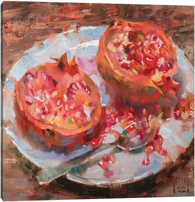 Pomegranate Canvas Art Print - Alex Kelly