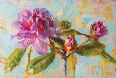 Rhododendrons