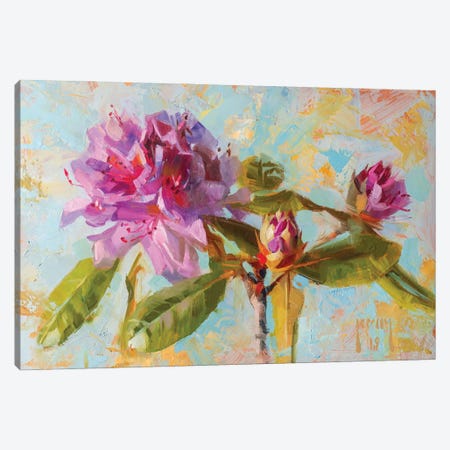 Rhododendron Canvas Print #AXY52} by Alex Kelly Canvas Art Print
