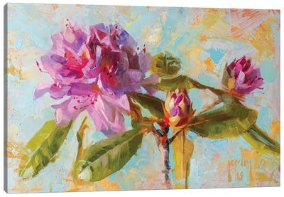 Rhododendron Canvas Art Print - Alex Kelly